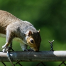 Daddy’s Pest Solutions - Pest Control Equipment & Supplies