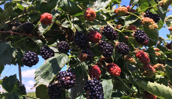 Biringer Farm - Arlington, WA