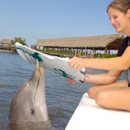 Dolphin Research Center - Tourist Information & Attractions