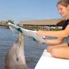 Dolphin Research Center