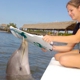 Dolphin Research Center