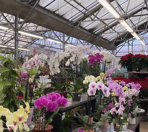 Merrifield Garden Center - Fairfax, VA