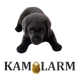 Kamolarm LLC