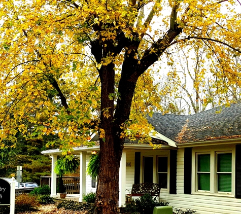 Avery's Creek Family Dentistry - Arden, NC. Beautiful tree!