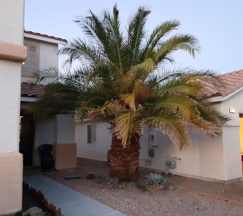 AGUILERA LAWN SERVICES - north las vegas, NV. BEFORE