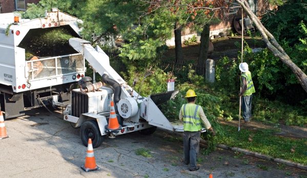 Long Island Tree Service - Holbrook, NY