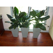 Gallery Image Number 5