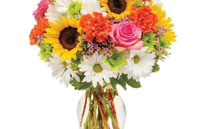 Butz Flowers Gifts New Castle Pa 16101