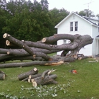 Zach's Tree & Stump Removal