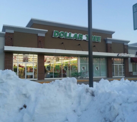 Dollar Tree - West Hartford, CT