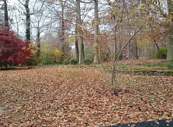 Stacy Lawn & Landscape - Milford, NH. Leaf and Brush Clean Up In Fall and Spring