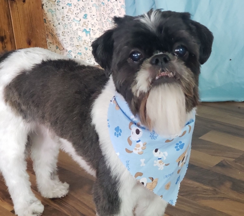 The Groom Room Dog Salon - Harrisburg, PA. Marvin is so handsome