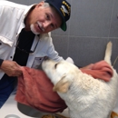 All Vet Care Animal Hospital - Veterinary Clinics & Hospitals