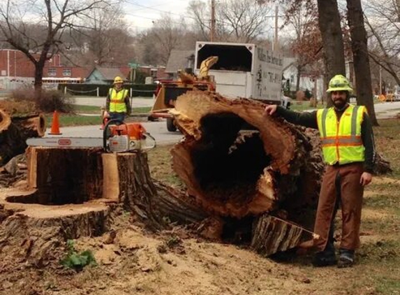 Walker Tree Service