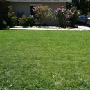 perez ,landscaping &  tree service - Landscaping & Lawn Services