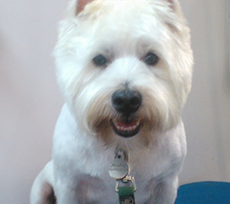 Elagant Pooches - Officer, VIC