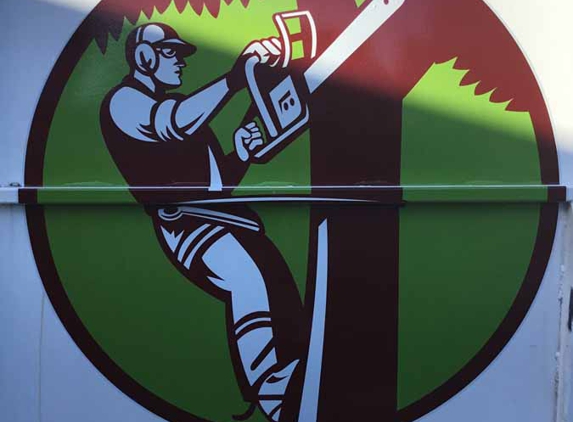 All Tree & Stump Works - Palm Beach, QLD