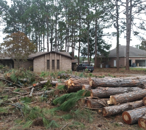 J & H Tree Services - Panama City, FL