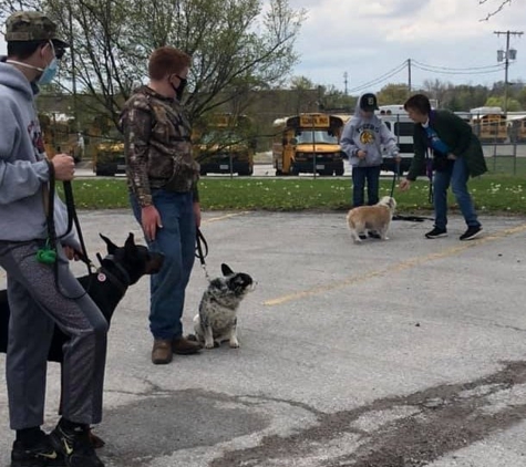 Pawsitively Polite Dog Obedience Training - Kansas City Dog Training