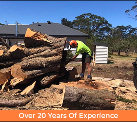 Rob Jamieson Tree & Stump Removal - Colac East, VIC. Over 20 Years Of Experience