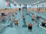 Tacoma Center YMCA - Day Care Centers & Nurseries
