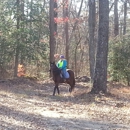 Saddle Up Stables - Horse Training