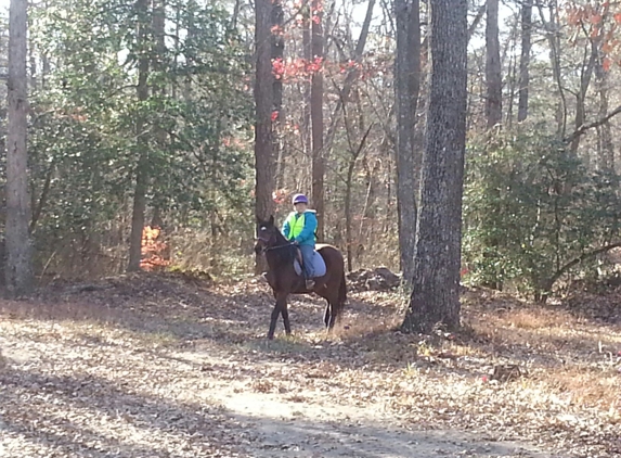 Saddle Up Stables - Bridgeville, DE