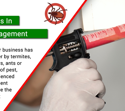 Terminate Pty Ltd - Bourkelands, NSW. Specialists In Pest Management