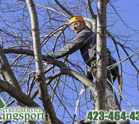 Tree Service Kingsport - Kingsport, TN