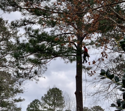 Ricardo's Tree Service, LLC - Peachtree City, GA