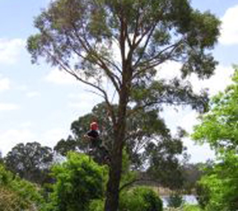 Tree Limits - Bairnsdale, VIC