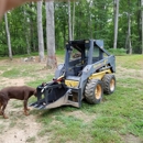 Bill's Tree Service - Stump Removal & Grinding