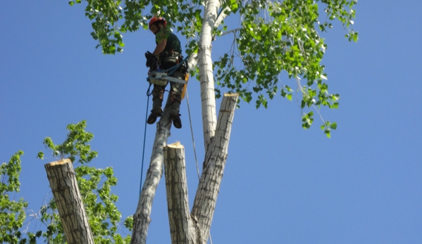 Green Life Tree Works