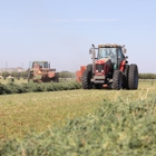 Farm Direct Hay