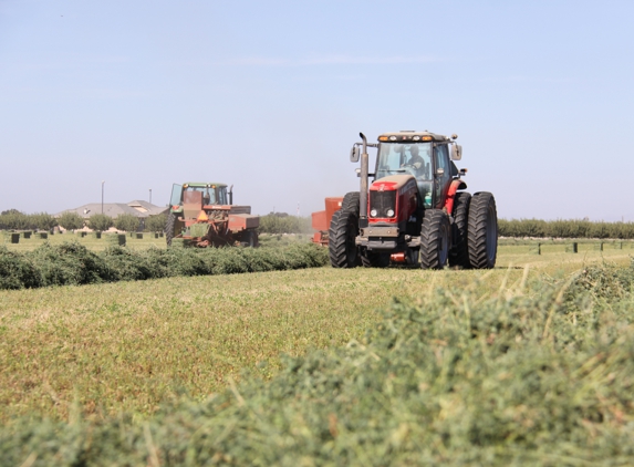 Farm Direct Hay - Lemoore, CA