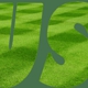 LUSH Lawn Care Gallatin