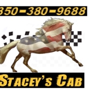Stacey's Cab - Transit Lines
