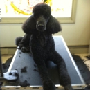 K-9 Country Club - Pet Grooming