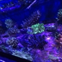 Poseidon Aquarium