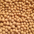 Signature Soy