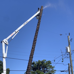 Go Green Affordable Tree Service - Hollywood, FL