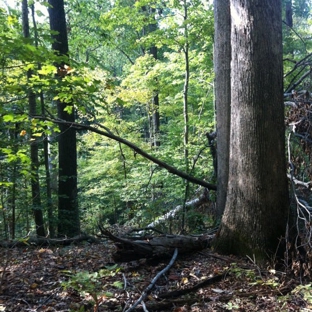 Meeman-Shelby Forest State Park - Millington, TN