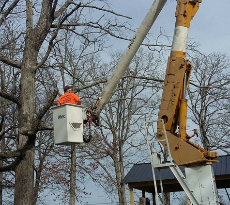 JD Tree Care - Big Rock, TN