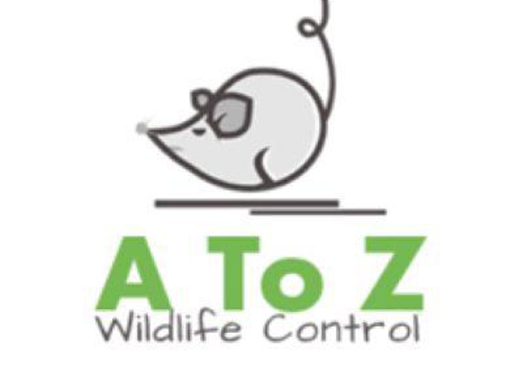 A to Z Wildlife