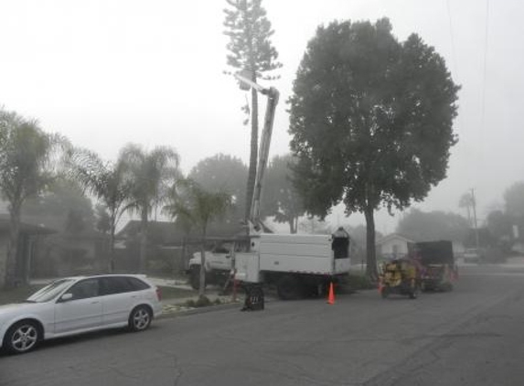 A & J Tree Service - Goleta, CA