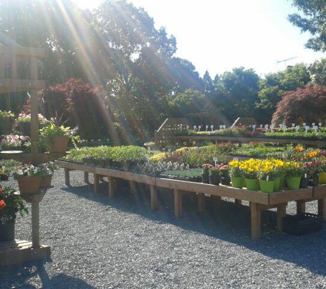 Latham's Nursery - Monroe, NC