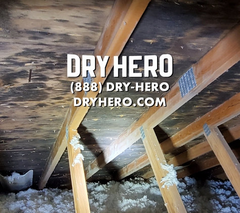 DryHero - Lincoln, NE. Attic mold remediation Lincoln Nebraska