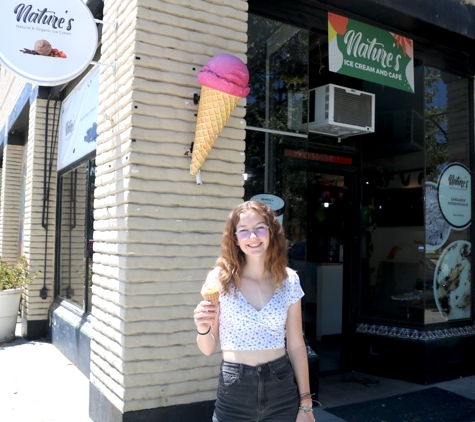 Nature's Ice Cream and Cafe - Fremont, CA