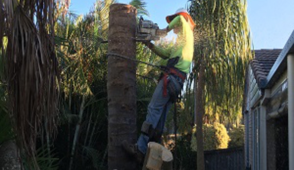 Active Tree Fellas - River Heads, QLD
