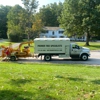 Premier Tree Specialists gallery